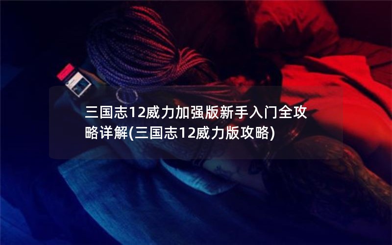 三国志12威力加强版新手入门全攻略详解(三国志12威力版攻略)
