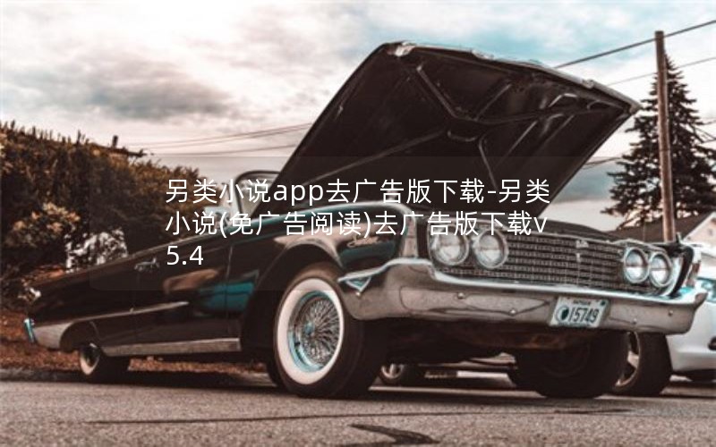 另类小说app去广告版下载-另类小说(免广告阅读)去广告版下载v5.4