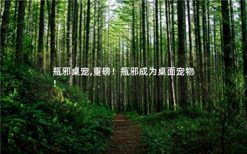 瓶邪桌宠,重磅!瓶邪成为桌面宠物! 瓶邪桌宠,重磅!瓶邪成为桌面宠物!