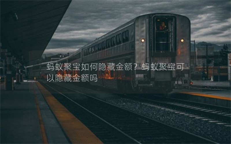 蚂蚁聚宝如何隐藏金额?蚂蚁聚宝可以隐藏金额吗 蚂蚁聚宝如何隐藏金额?蚂蚁聚宝可以隐藏金额吗