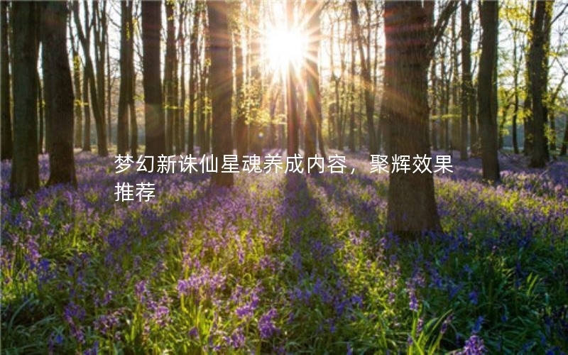 梦幻新诛仙星魂养成内容,聚辉效果推荐 梦幻新诛仙星魂养成内容,聚辉效果推荐