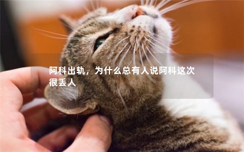 阿科出轨，为什么总有人说阿科这次很丢人