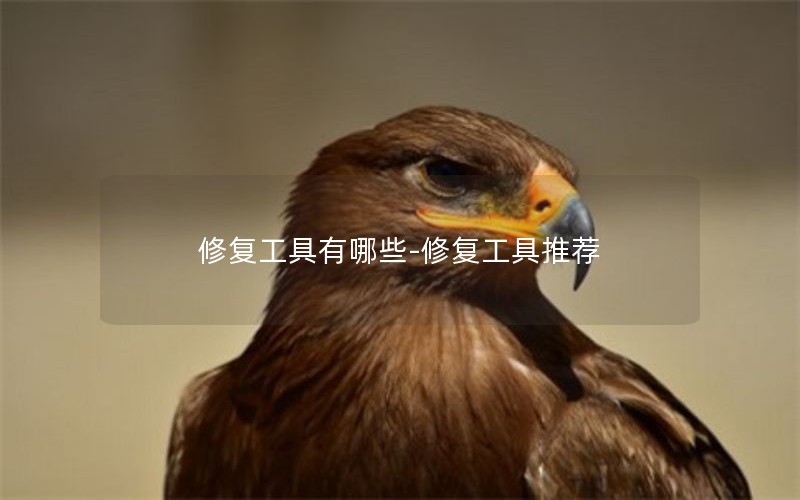 修复工具有哪些-修复工具推荐 修复工具有哪些-修复工具推荐