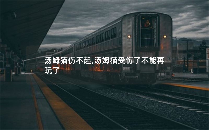 汤姆猫伤不起,汤姆猫受伤了不能再玩了