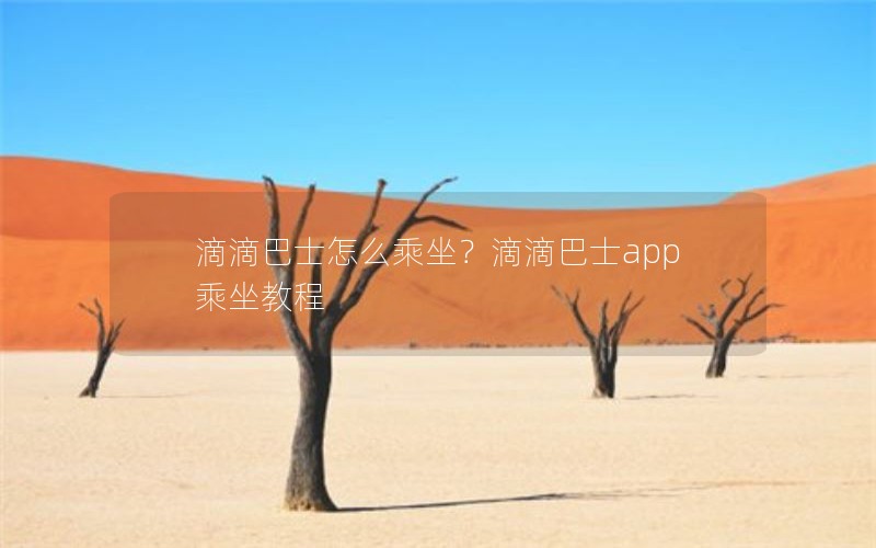 滴滴巴士怎么乘坐?滴滴巴士app乘坐教程 滴滴巴士怎么乘坐?滴滴巴士app乘坐教程