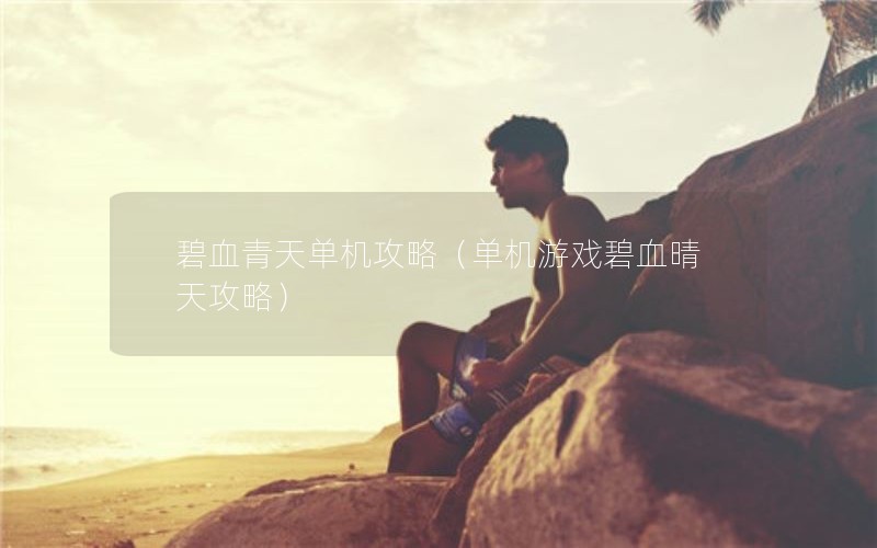 碧血青天单机攻略（单机游戏碧血晴天攻略）