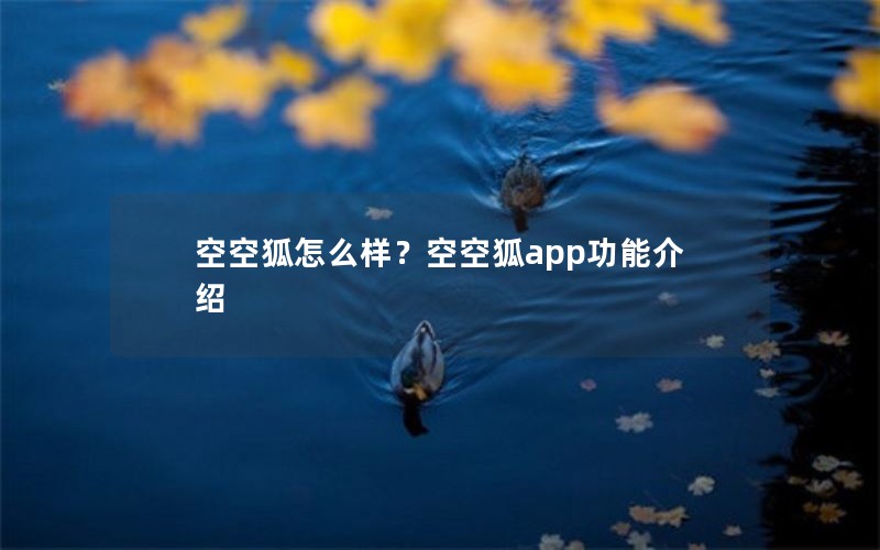 空空狐怎么样?空空狐app功能介绍 空空狐怎么样?空空狐app功能介绍
