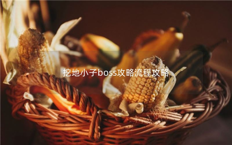 挖地小子boss攻略流程攻略