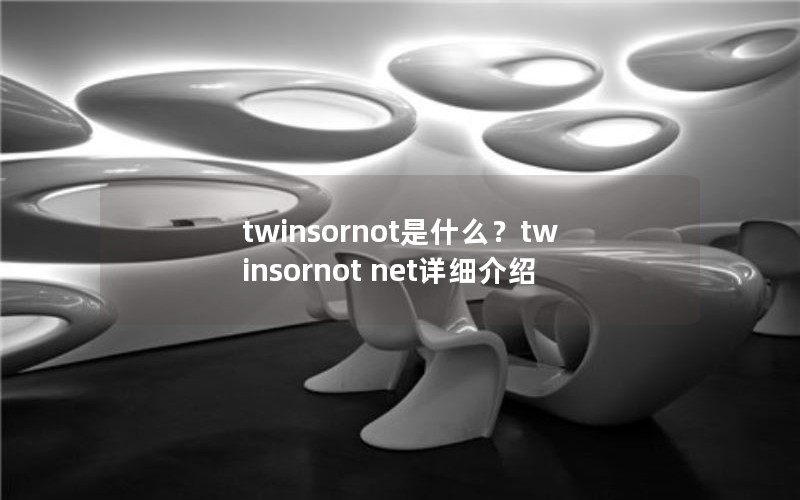 twinsornot是什么？twinsornot net详细介绍