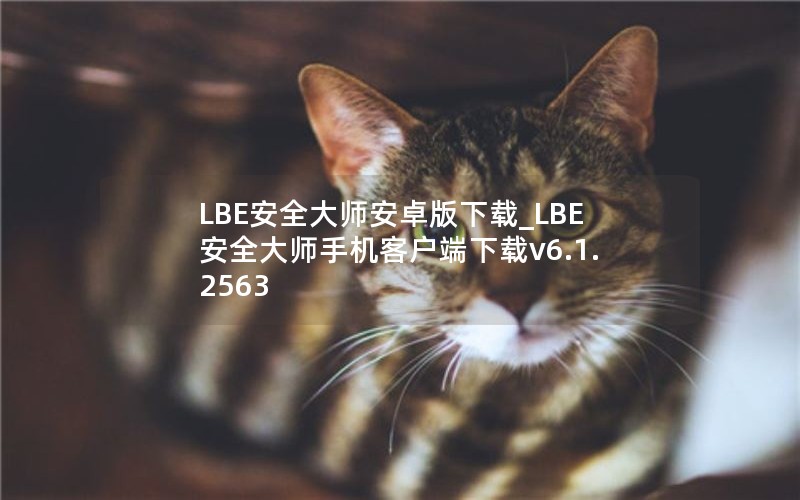 LBE安全大师安卓版下载_LBE安全大师手机客户端下载v6.1.2563