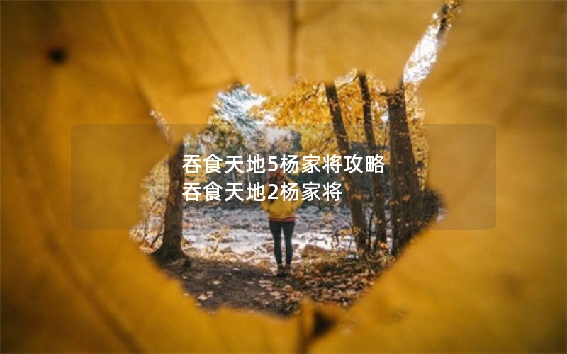 吞食天地5杨家将攻略 吞食天地2杨家将