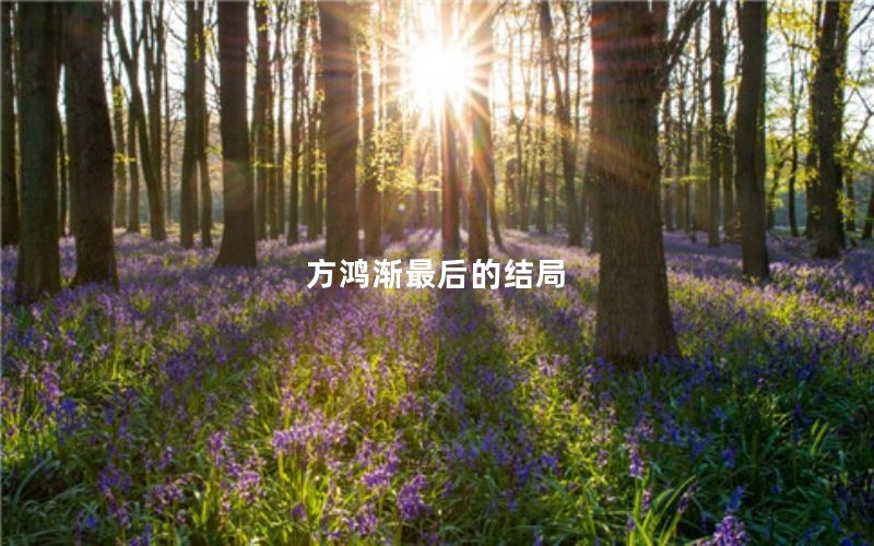 方鸿渐最后的结局 方鸿渐最后的结局