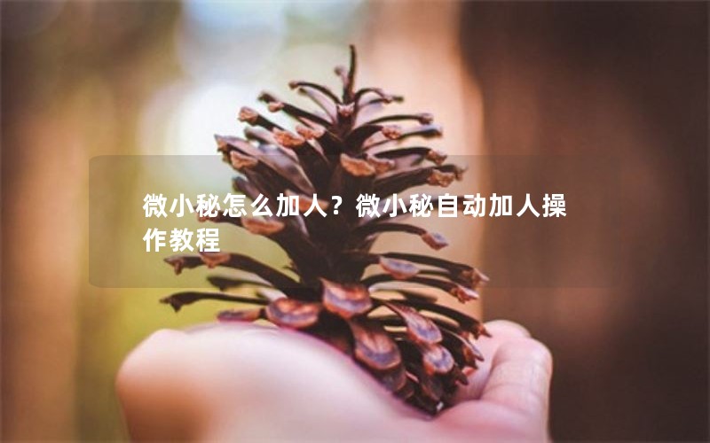 微小秘怎么加人？微小秘自动加人操作教程