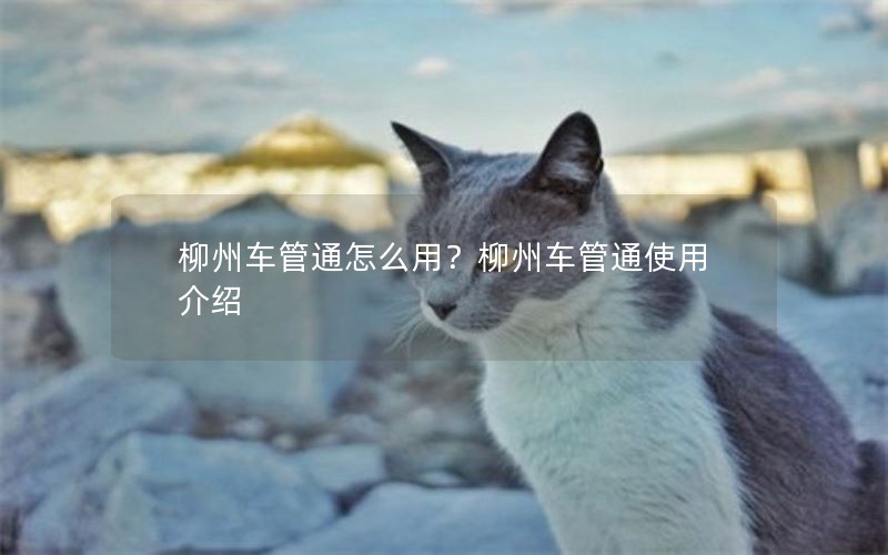柳州车管通怎么用？柳州车管通使用介绍