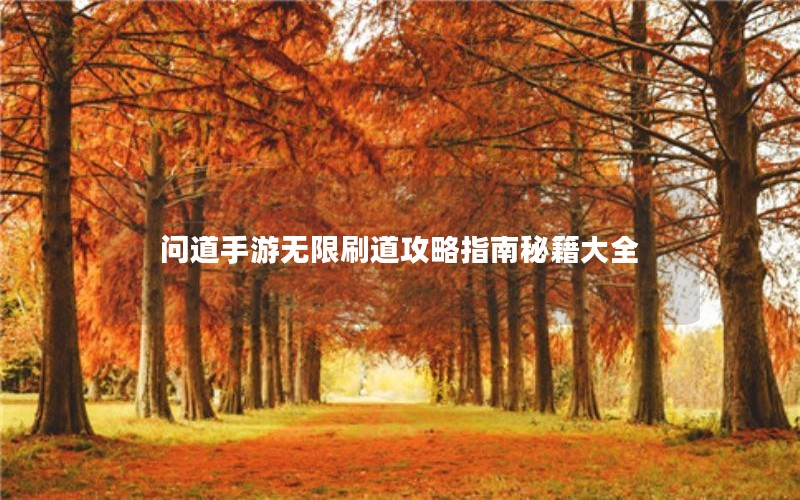 问道手游无限刷道攻略指南秘籍大全