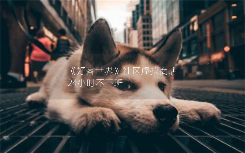 《好客世界》社区虚拟商店 24小时不下班
