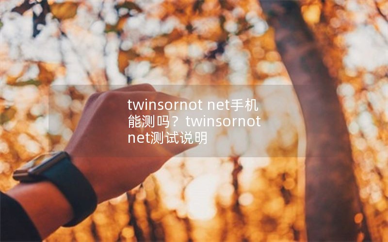 twinsornot net手机能测吗？twinsornot net测试说明