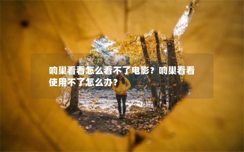 响巢看看怎么看不了电影？响巢看看使用不了怎么办？