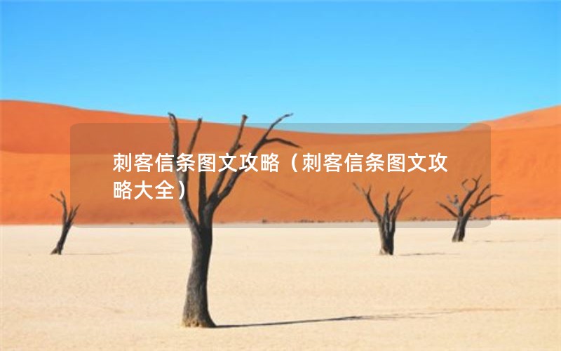 刺客信条图文攻略（刺客信条图文攻略大全）