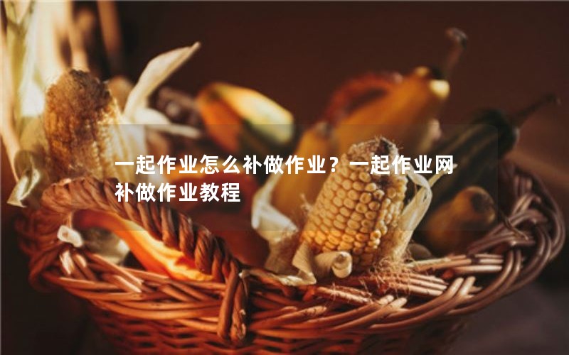 一起作业怎么补做作业？一起作业网补做作业教程