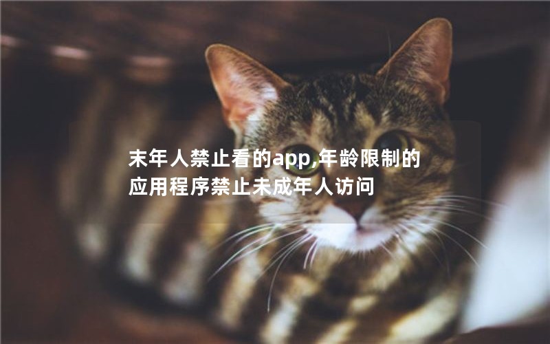 末年人禁止看的app,年龄限制的应用程序禁止未成年人访问