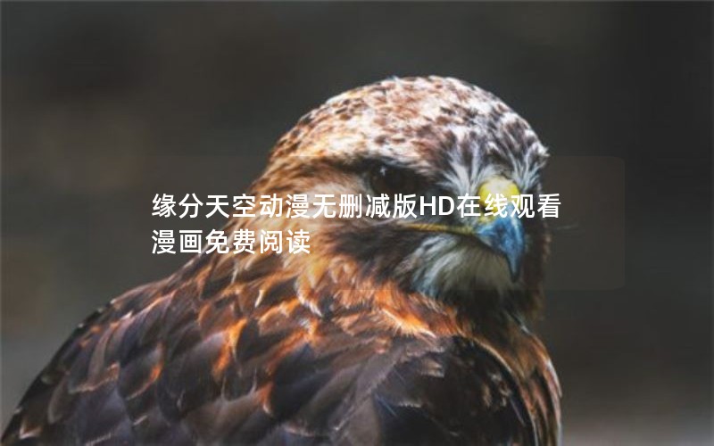 缘分天空动漫无删减版HD在线观看漫画免费阅读