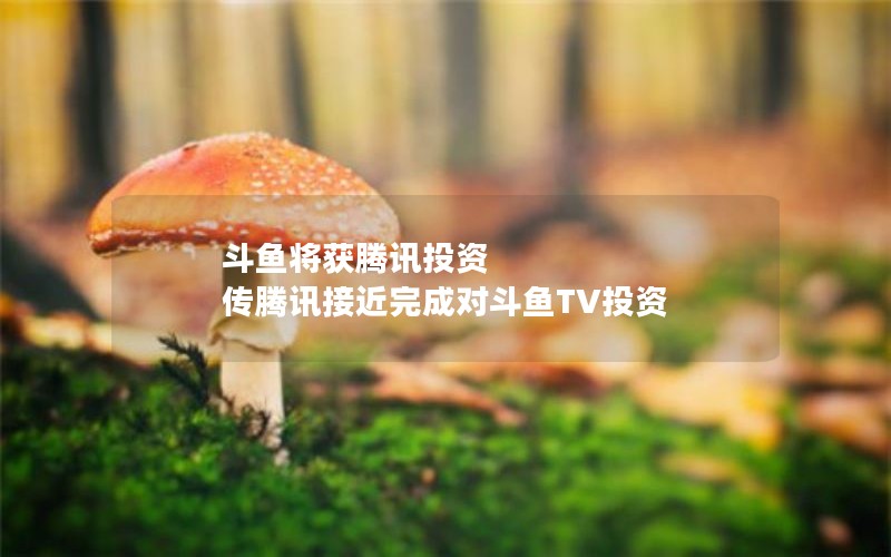斗鱼将获腾讯投资 传腾讯接近完成对斗鱼TV投资