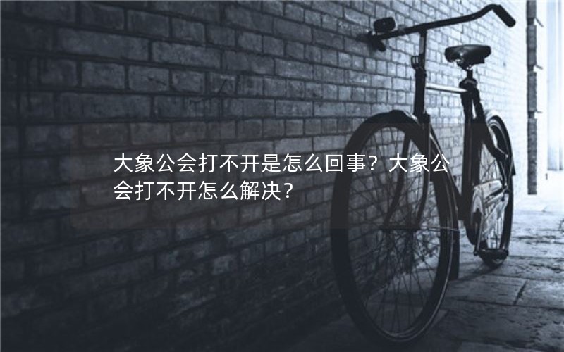 大象公会打不开是怎么回事？大象公会打不开怎么解决？