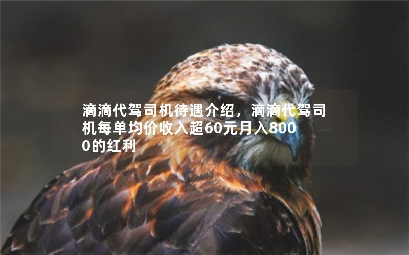 滴滴代驾司机待遇介绍，滴滴代驾司机每单均价收入超60元月入8000的红利