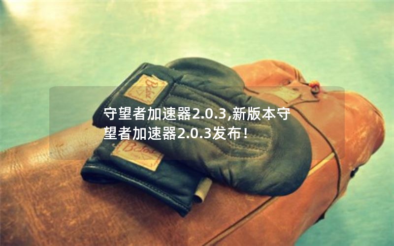 守望者加速器2.0.3,新版本守望者加速器2.0.3发布！