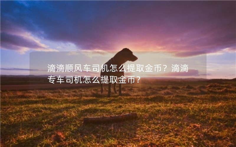 滴滴顺风车司机怎么提取金币？滴滴专车司机怎么提取金币？