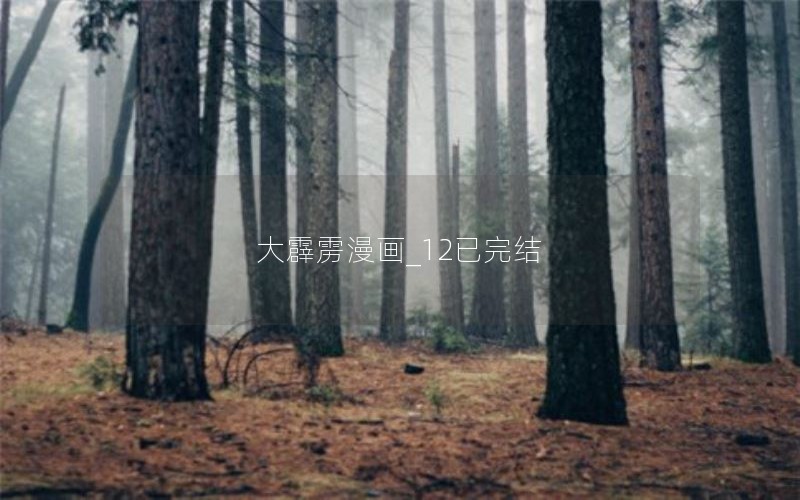 大霹雳漫画_12已完结