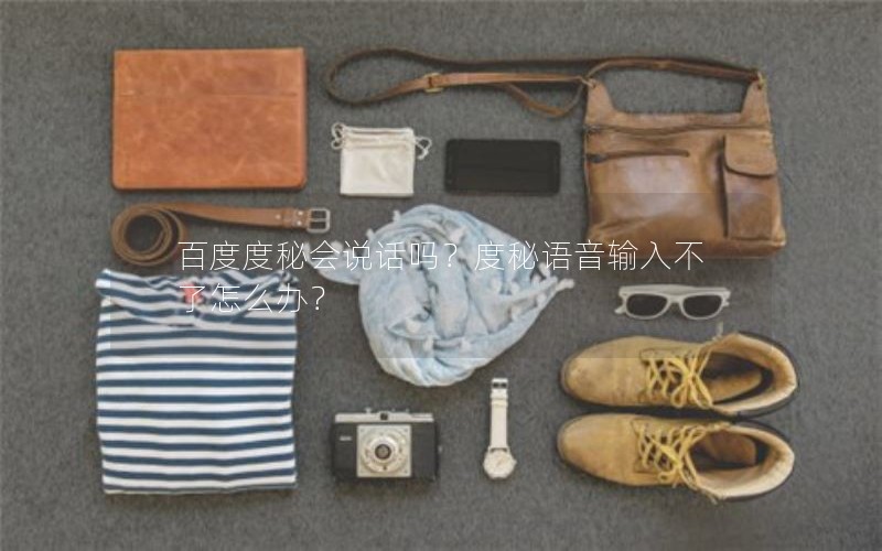 百度度秘会说话吗?度秘语音输入不了怎么办? 百度度秘会说话吗?度秘语音输入不了怎么办?
