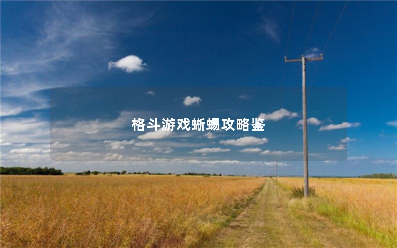格斗游戏蜥蜴攻略鉴