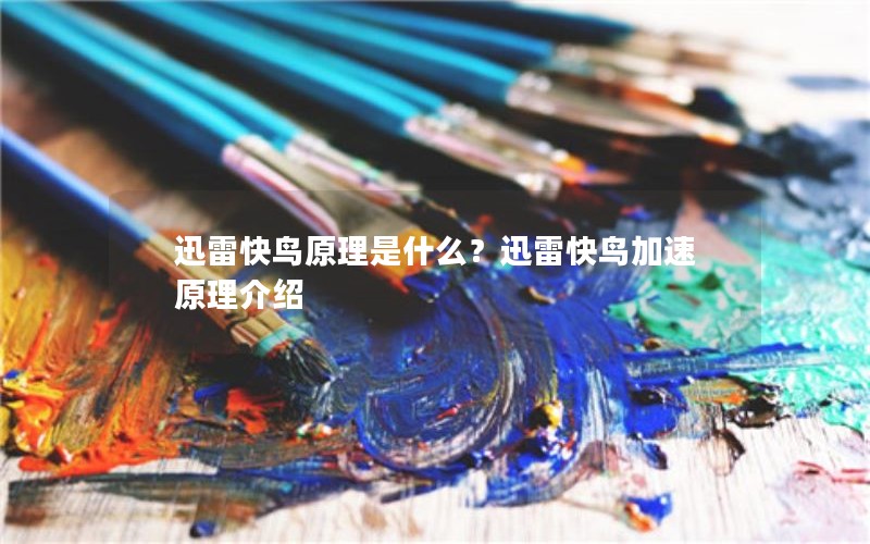 迅雷快鸟原理是什么？迅雷快鸟加速原理介绍