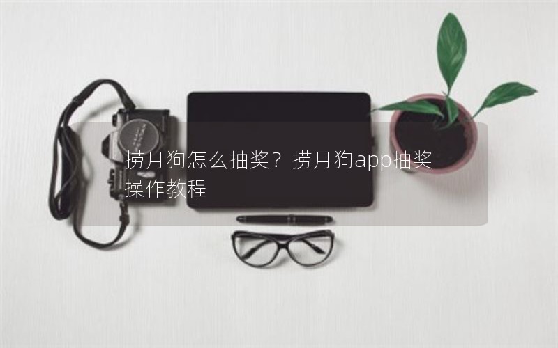 捞月狗怎么抽奖？捞月狗app抽奖操作教程