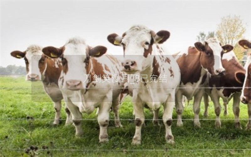 刀剑笑漫画_8已完结