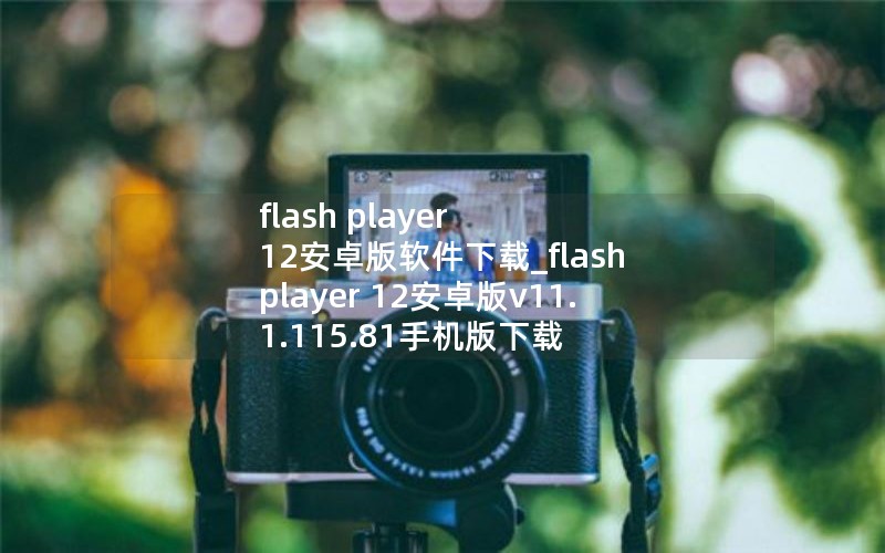 flash player 12安卓版软件下载_flash player 12安卓版v11.1.115.81手机版下载