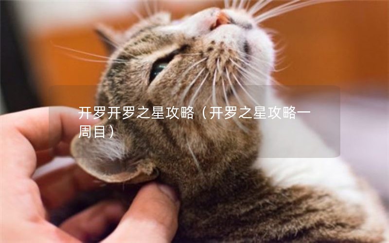 开罗开罗之星攻略（开罗之星攻略一周目）