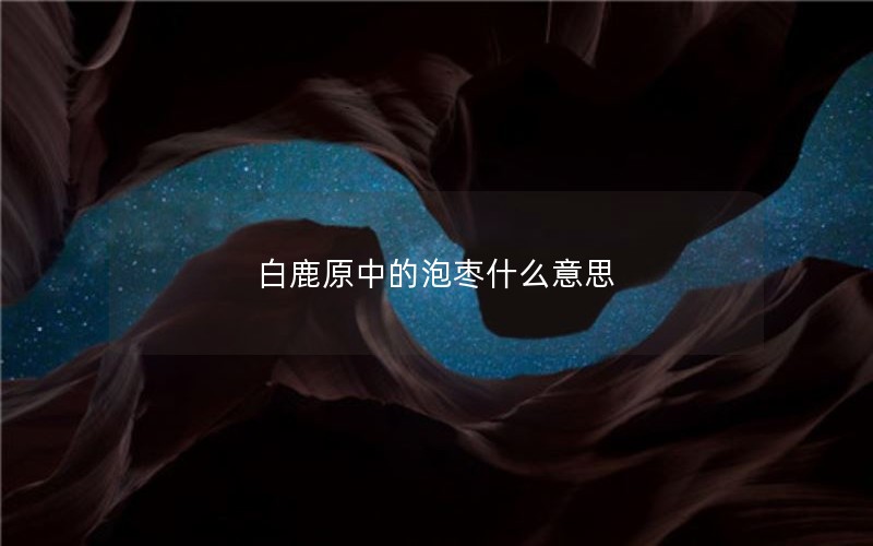 白鹿原中的泡枣什么意思