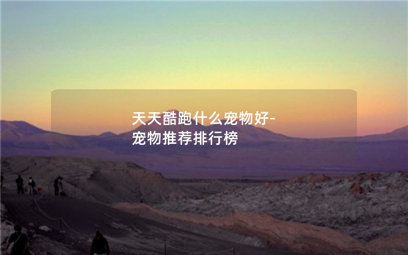 天天酷跑什么宠物好-宠物推荐排行榜 天天酷跑什么宠物好-宠物推荐排行榜