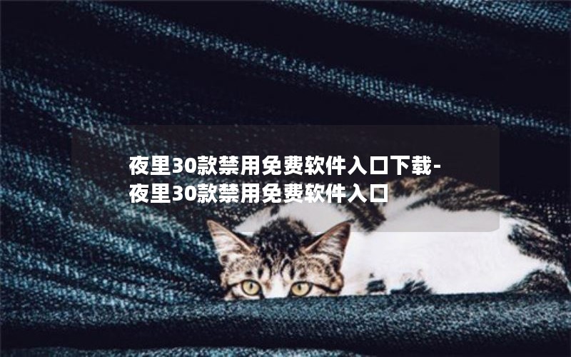 夜里30款禁用免费软件入口下载-夜里30款禁用免费软件入口