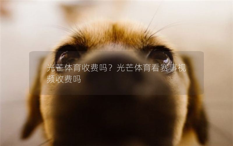 光芒体育收费吗？光芒体育看赛事视频收费吗