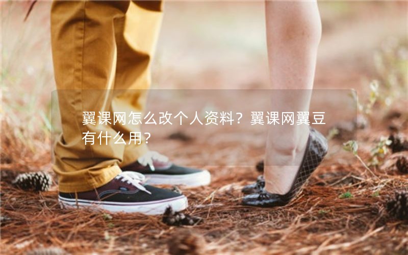 翼课网怎么改个人资料？翼课网翼豆有什么用？