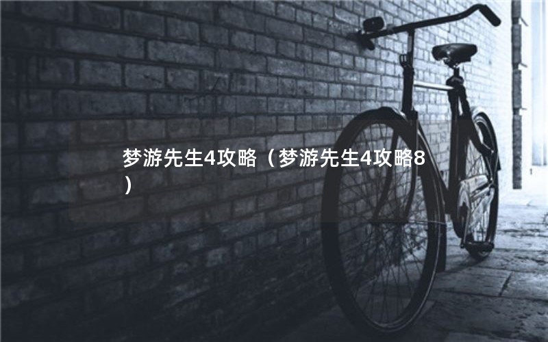 梦游先生4攻略（梦游先生4攻略8）
