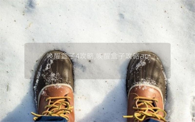 唤醒盒子4攻略,唤醒盒子攻略app