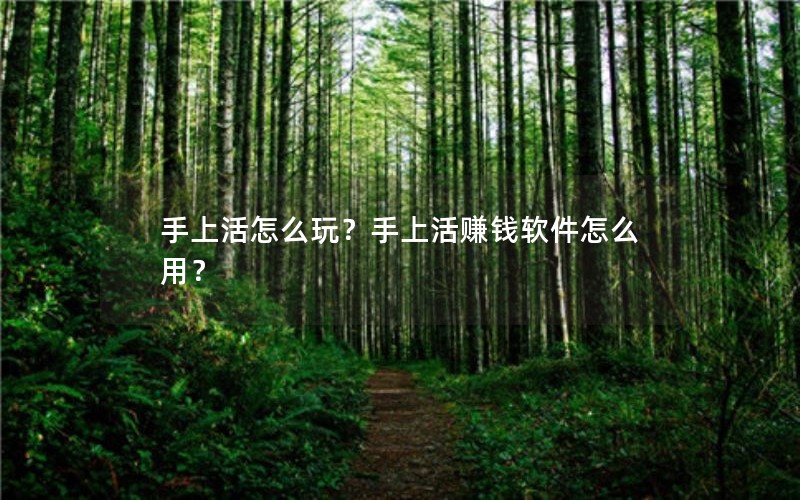 手上活怎么玩？手上活赚钱软件怎么用？