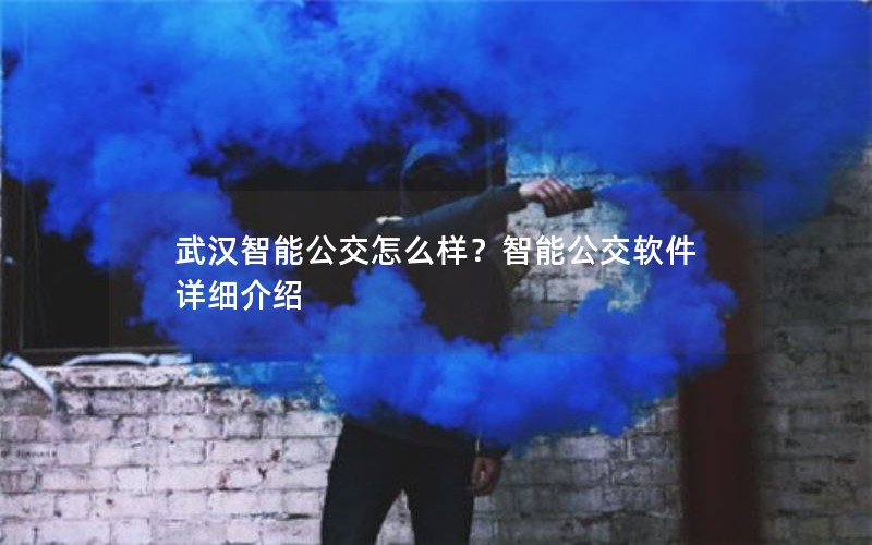 武汉智能公交怎么样？智能公交软件详细介绍