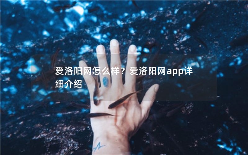 爱洛阳网怎么样？爱洛阳网app详细介绍