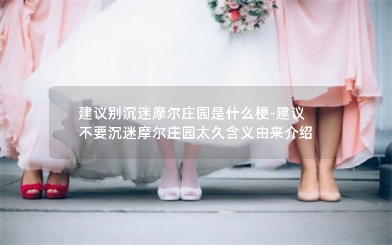 建议别沉迷摩尔庄园是什么梗-建议不要沉迷摩尔庄园太久含义由来介绍